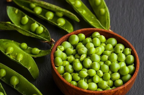 CANNED GREEN PEAS