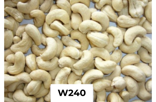 CASHEW NUTS W240
